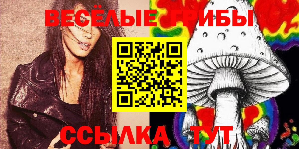 Галлюциногенные грибы мухоморы  Вход с VPN  Зима  купить закладку  Галлюциногенные грибы GOLDEN TEACHER 