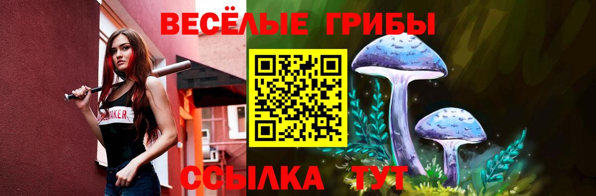 Псилоцибиновые грибы GOLDEN TEACHER Зима